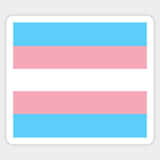 Trans pride flag Sticker